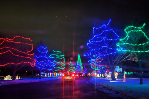 Colorful holiday lights illuminate trees and a large Christmas tree along a winding road at night.