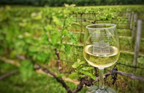 A glass of white wine sits in front of lush green vineyard rows, showcasing a serene wine trail setting.