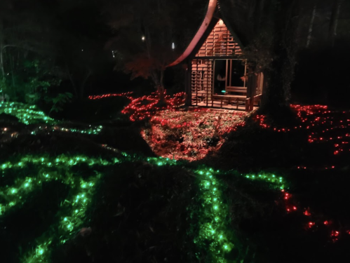 A cozy cabin surrounded by vibrant red and green lights in a dark, wooded area.