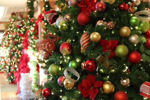 A festive display of Christmas trees adorned with colorful ornaments and red and green decorations.