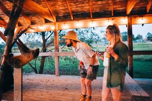 A man and woman interact with a sloth in a rustic wooden setting, surrounded by greenery and warm lighting.