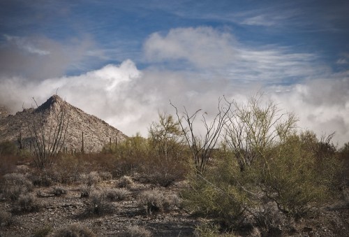 A desert landscape featuring a mountain, sparse vegetation, and a cloudy sky.