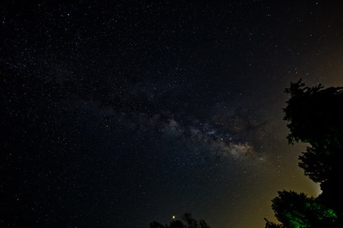A starry night sky featuring the Milky Way, with silhouettes of trees in the foreground and a faint glow on the horizon.