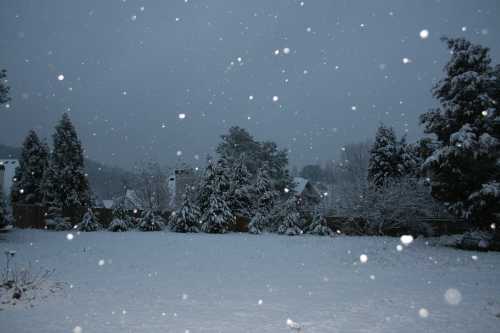 A snowy landscape with falling snowflakes, trees covered in snow, and a gray, overcast sky.