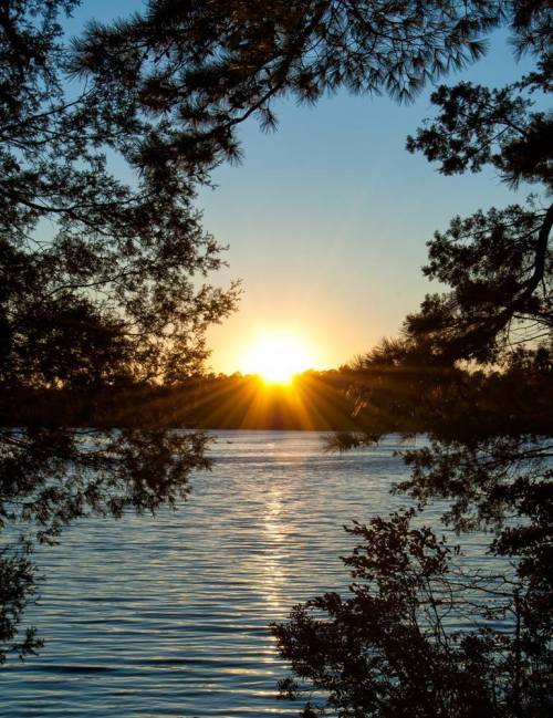 Sunset over a calm lake, framed by trees, with rays of sunlight reflecting on the water's surface.