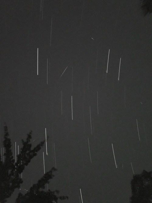 Star trails streak across a dark night sky, with silhouettes of trees in the foreground.