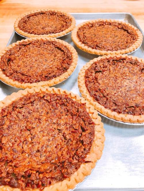 Five freshly baked pecan pies on a metal tray, showcasing their golden crusts and rich, nutty filling.