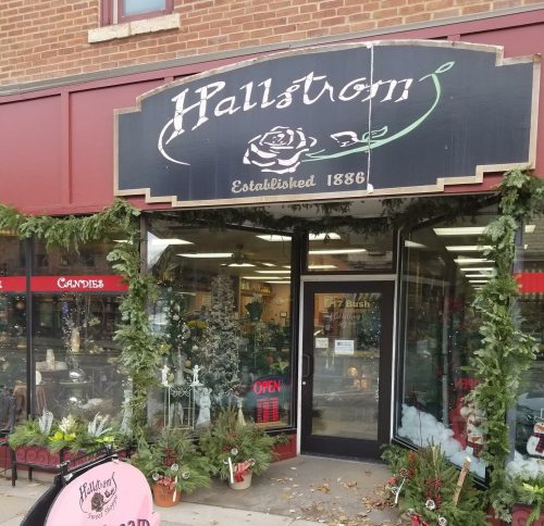 A charming storefront with a sign reading "Hallstrom," featuring festive decorations and a display for ice cream and candies.