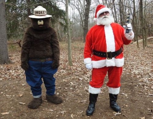 A bear in a ranger hat stands next to Santa Claus in a red suit, both in a wooded area with fallen leaves.