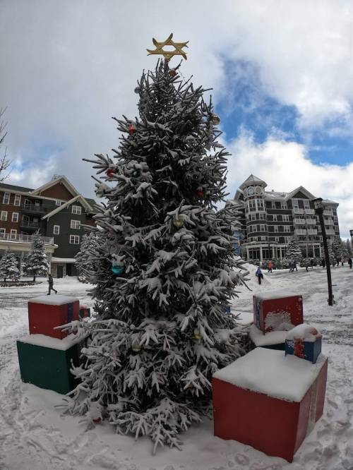 A snow-covered Christmas tree with colorful ornaments and presents at its base, set against a wintery sky.