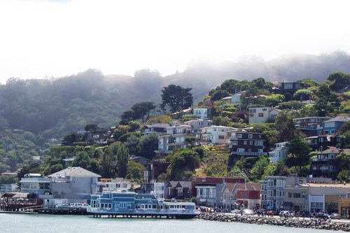 A scenic view of a hillside with houses, greenery, and a waterfront area under a misty sky.