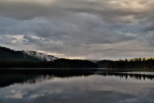 A serene lake surrounded by dense forests under a cloudy sky, reflecting the landscape in calm waters.