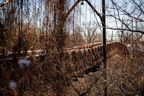 A weathered suspension bridge partially obscured by bare trees and vines in a winter landscape.