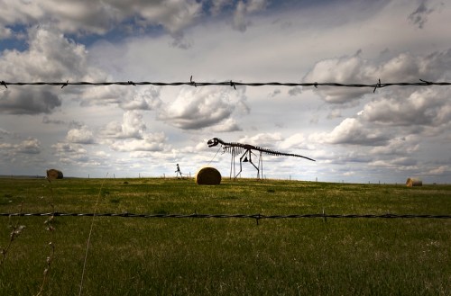 A dinosaur skeleton stands in a grassy field, framed by barbed wire, with a person walking nearby under a cloudy sky.
