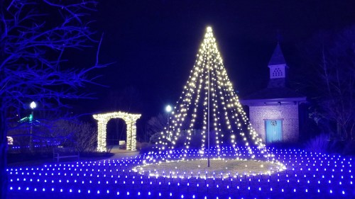 A beautifully lit Christmas tree surrounded by blue lights, with a decorative arch and a building in the background at night.