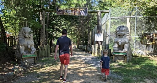 A man and a child walk towards a zoo entrance flanked by lion statues, surrounded by trees and a fence.