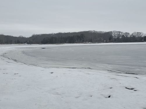 A frozen lake surrounded by snow and trees under a cloudy sky.