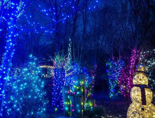 A winter scene with colorful lights illuminating trees and a snowman, creating a festive atmosphere at night.