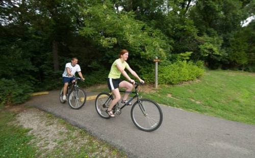 Two people riding bicycles on a path surrounded by greenery.
