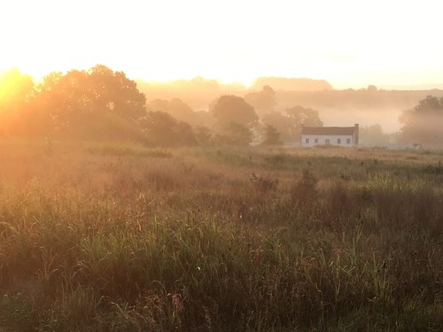 A misty landscape at sunrise, featuring a white house surrounded by tall grass and trees in the background.