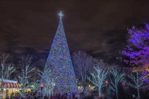 A brightly lit Christmas tree adorned with colorful lights, surrounded by illuminated trees against a night sky.
