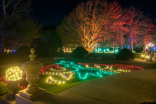 Colorful holiday lights illuminate a garden, featuring a festive design on the ground and vibrant trees in the background.