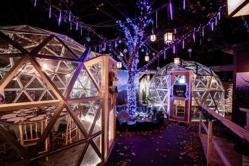 Two illuminated geodesic domes at night, surrounded by purple lights and a decorated tree, creating a cozy atmosphere.