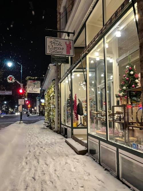 A snowy street scene featuring a gallery with festive decorations and a small Christmas tree in the window.