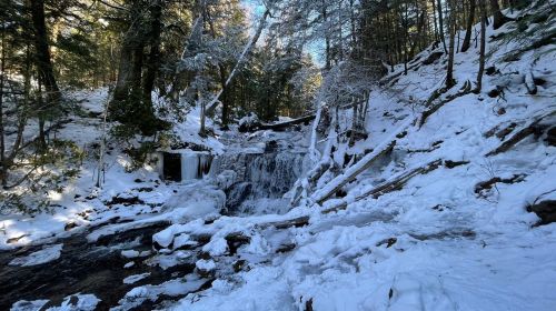 A serene winter scene featuring a frozen waterfall surrounded by snow-covered trees and rocky terrain.