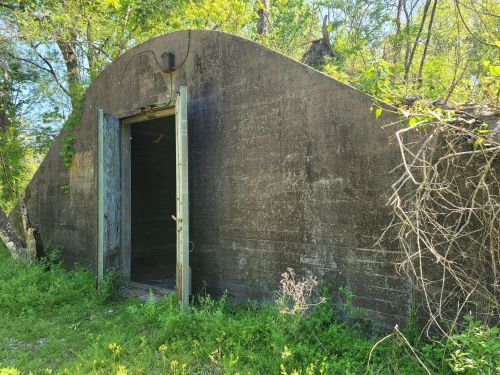 An old, weathered concrete structure with a curved roof, partially covered in greenery, stands in a wooded area.
