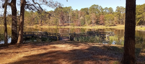 A serene lake view with wooden bridges surrounded by trees and calm water under a clear sky.