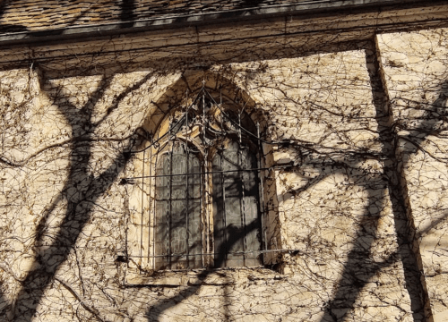 A weathered stone wall with a gothic-style window, partially covered by vines and shadows from nearby trees.