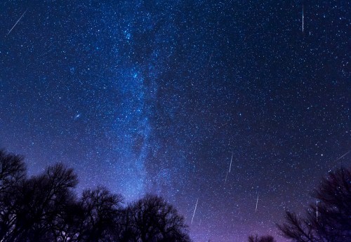 A starry night sky filled with the Milky Way and shooting stars, framed by silhouetted trees at the bottom.