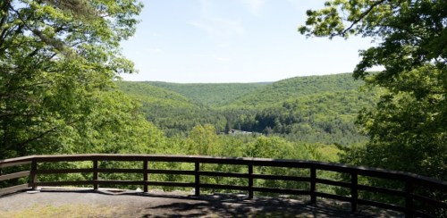 A scenic view of lush green hills and valleys under a clear blue sky, seen from a wooden overlook.