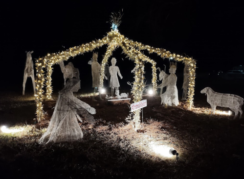 A lit-up nativity scene with translucent figures, surrounded by twinkling lights, set in a dark outdoor space.