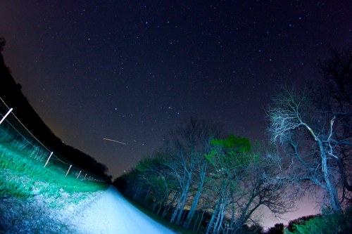 A starry night sky over a gravel road lined with trees, illuminated by a faint blue light.