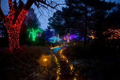 A pathway illuminated by colorful holiday lights winding through a garden at night.