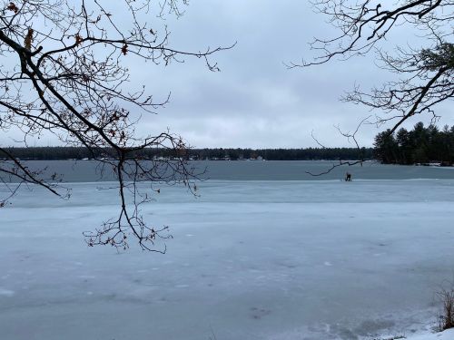 A serene winter scene of a frozen lake, with bare trees and a cloudy sky in the background.