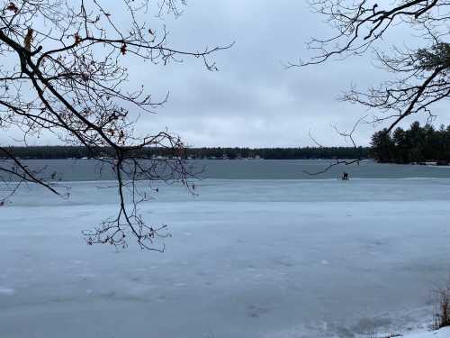 A serene winter scene of a frozen lake, with bare trees and a cloudy sky in the background.