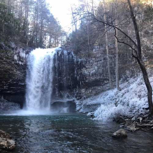 A serene waterfall cascades into a clear pool, surrounded by icy rocks and trees in a tranquil forest setting.