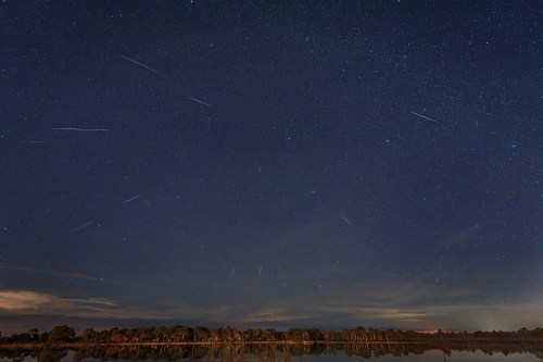 A starry night sky filled with shooting stars above a calm lake and silhouetted trees along the horizon.