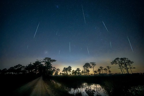 A night sky filled with shooting stars over a dark landscape with trees and a reflective water body.