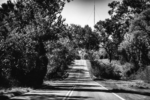 A winding road lined with trees, leading towards a distant tower, captured in black and white.