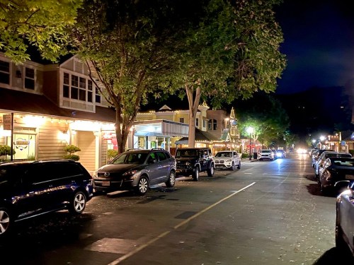 A quiet street at night lined with parked cars and illuminated buildings under a canopy of trees.