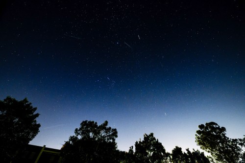 A starry night sky with scattered stars and a gradient from dark blue to lighter hues, framed by silhouettes of trees.