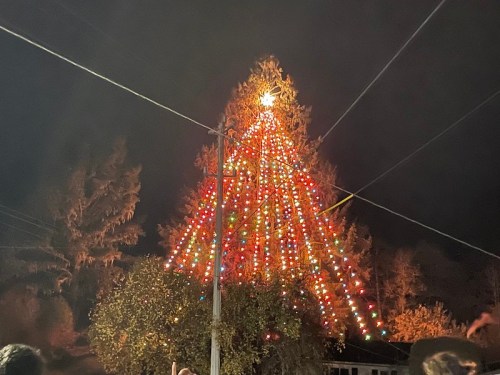 A large tree decorated with colorful lights, glowing against a dark night sky, with people gathered below.