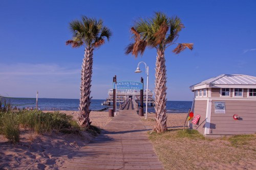 A wooden walkway leads to a beach with palm trees, a sign for "Ocean View," and a building by the water.