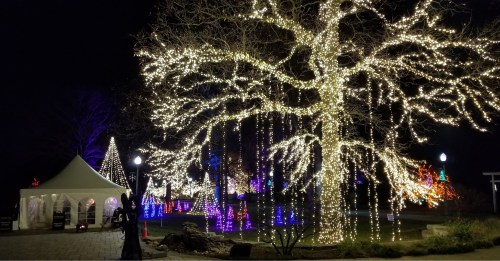 A park illuminated with colorful holiday lights, featuring a large tree and festive decorations at night.