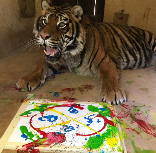 A tiger sits beside a colorful painting on a canvas, showcasing vibrant splashes of paint.