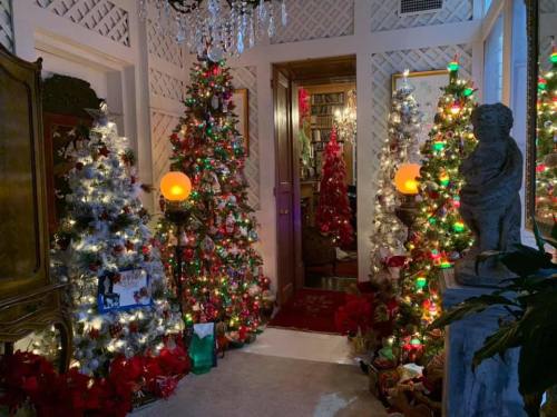A festive hallway adorned with multiple decorated Christmas trees, colorful lights, and holiday decorations.